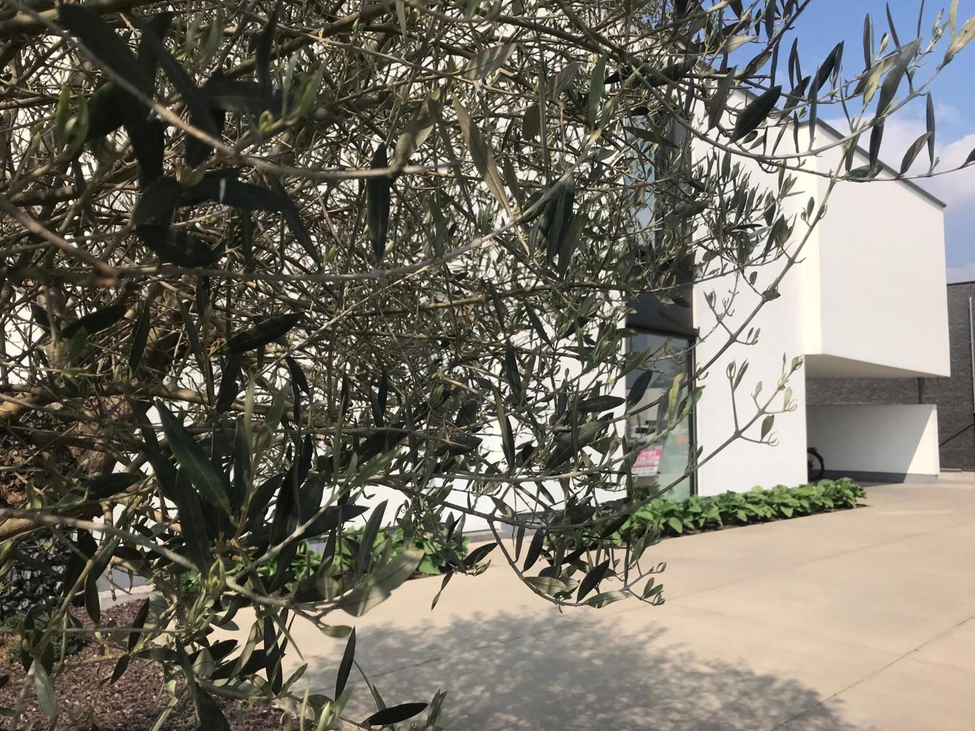 Vita Roka Met Extra Luxe Prive Wellness Ursel Exteriér fotografie